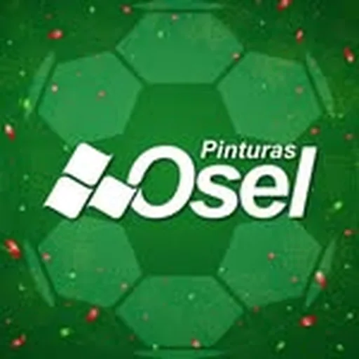 @pinturasoselmxoficial profile image