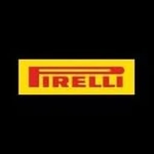 @pirelli_motorsport profile image
