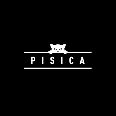 @pisicaevents profile image