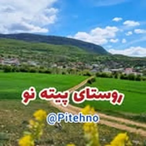 @pitehno profile image