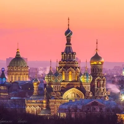 @piter_never_sleeps profile image