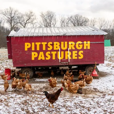 @pittsburghpastures profile image