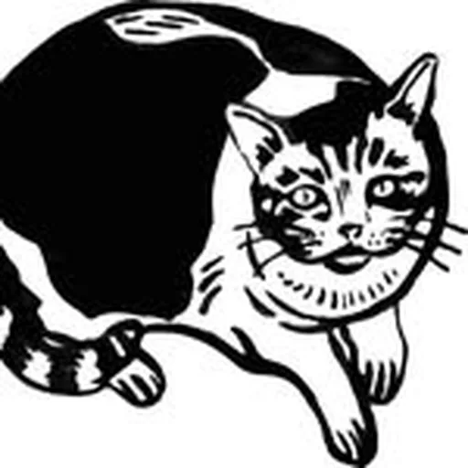 @pitzileinbooks profile image