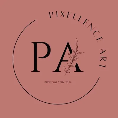 @pixellence_art profile image