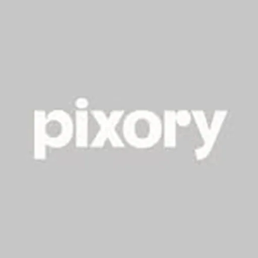 @pixoryofficial profile image
