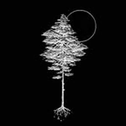 @plaisirssonoresrecords profile image