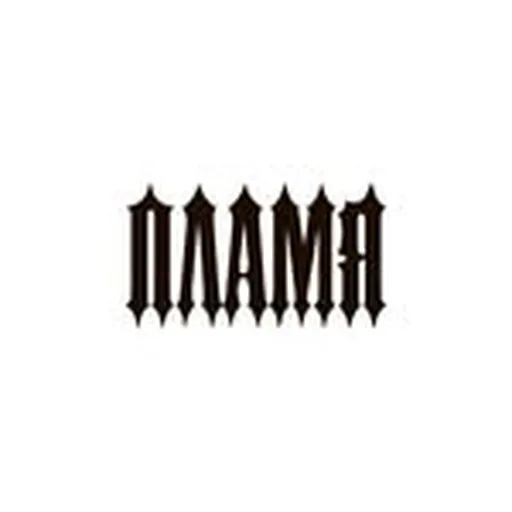 @plamya.kz profile image