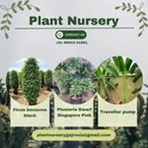 @plant_nursery___ profile image