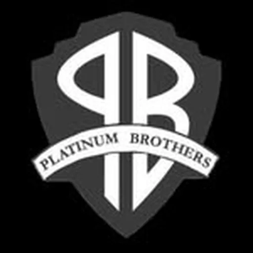 @platinum_bros profile image