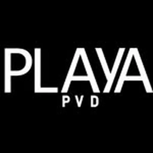 @playapvd profile image