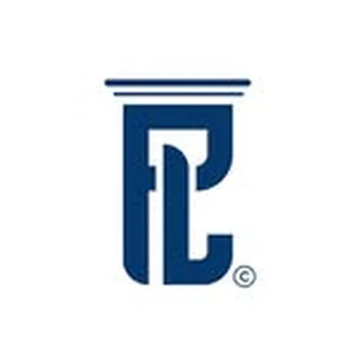 @plconsult_ profile image