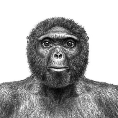 @pluglou4life profile image