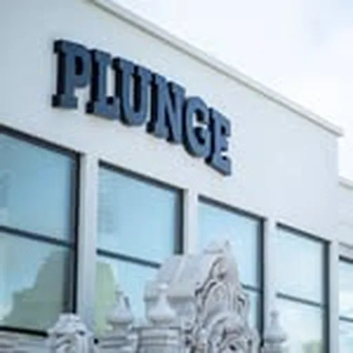 @plungesandiego profile image