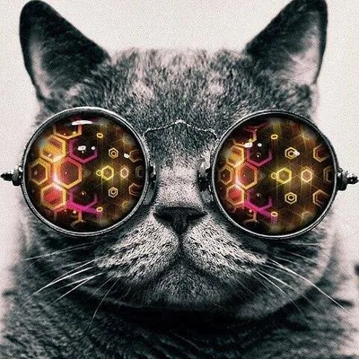 @plurredvisionrecords profile image