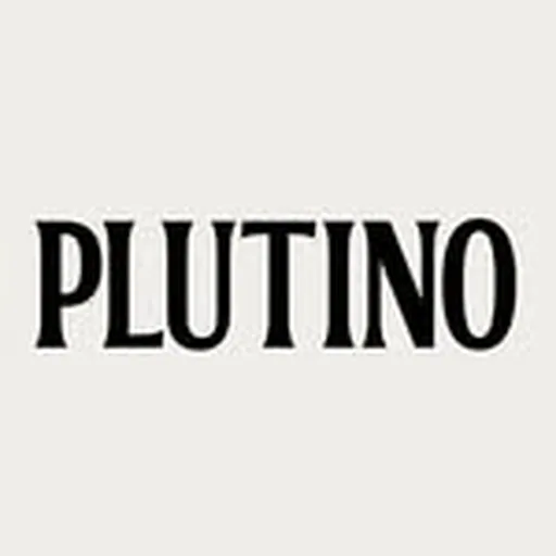 @plutinogroup profile image