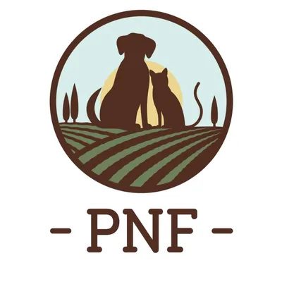 @pnfchews profile image