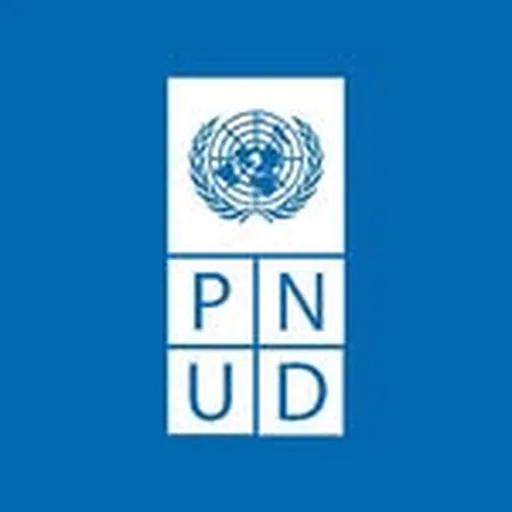@pnudbolivia profile image