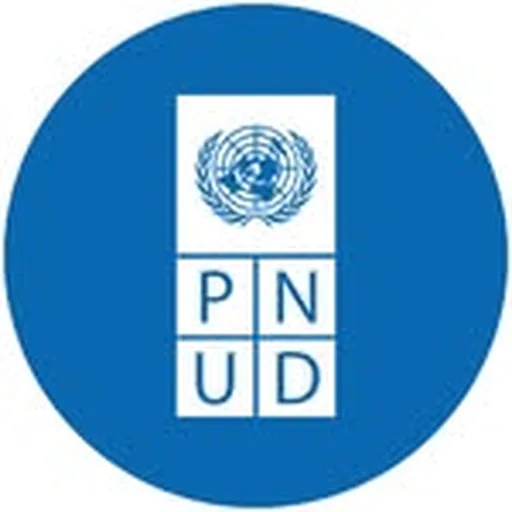 @pnudsv profile image