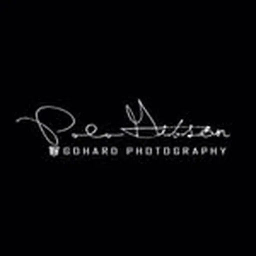 @polo.gibson profile image