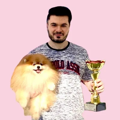 @pomer_pet profile image
