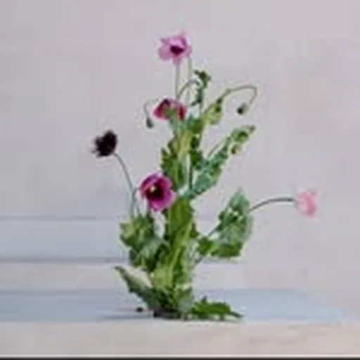 @pomona.floral profile image