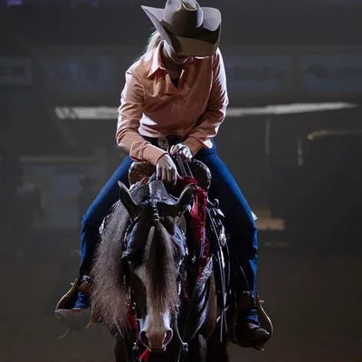 @pondhillperformancehorses profile image