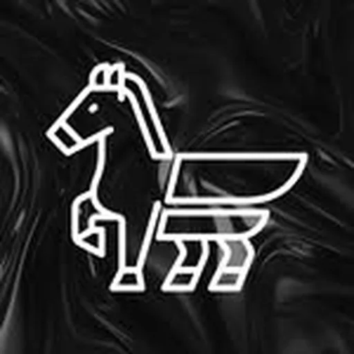 @poneyclubtoulouse profile image