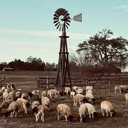 @pontious_ranches profile image