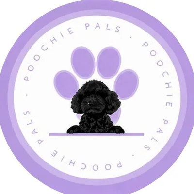 @poochie.pals profile image