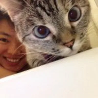 @pookie_n profile image