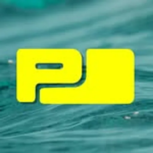 @pool.series_berlin profile image