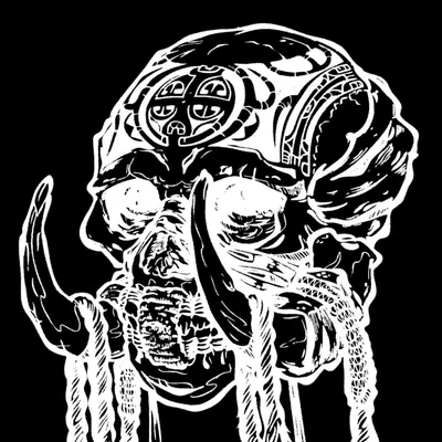 @pooyrondi profile image