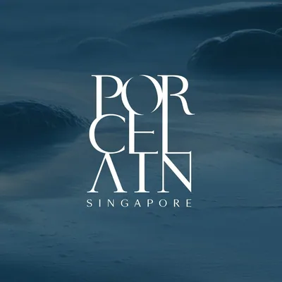 @porcelainskinofficial profile image