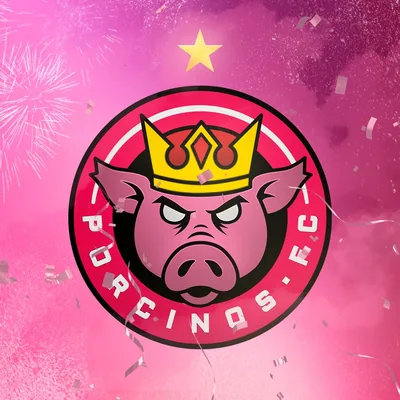 @porcinosfc.ig profile image