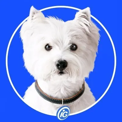 @portal_ig profile image