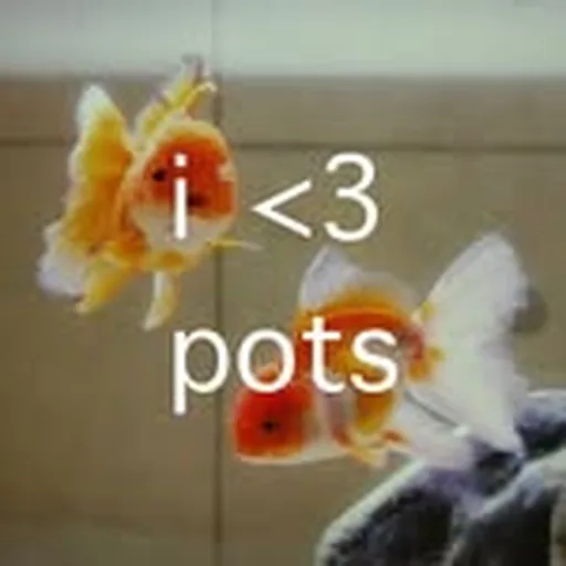 @pot_____s profile image