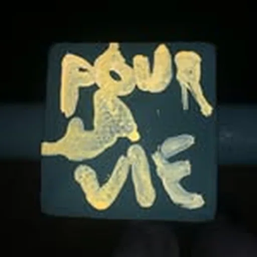 @pourlavie profile image