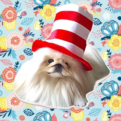 @powerfluff profile image