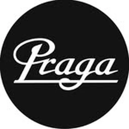 @praga_cars profile image