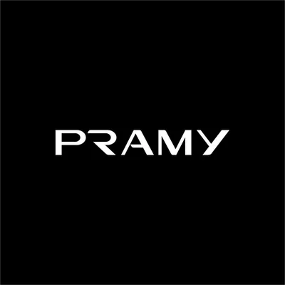 @pramy_id profile image