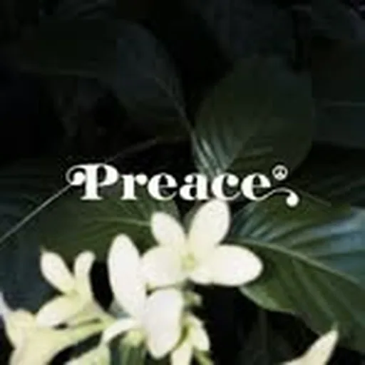 @preaceofficial profile image