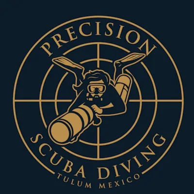 @precisionscubadivingtulum profile image