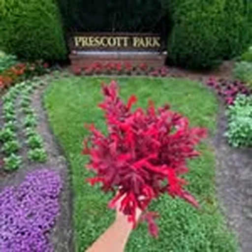 @prescottparknh profile image