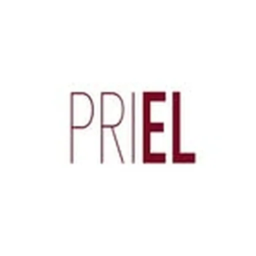@prielofficial profile image