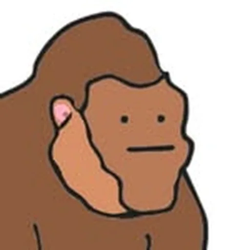 @primateeconomics profile image