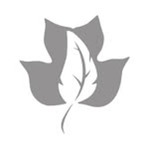 @primlandauberge profile image