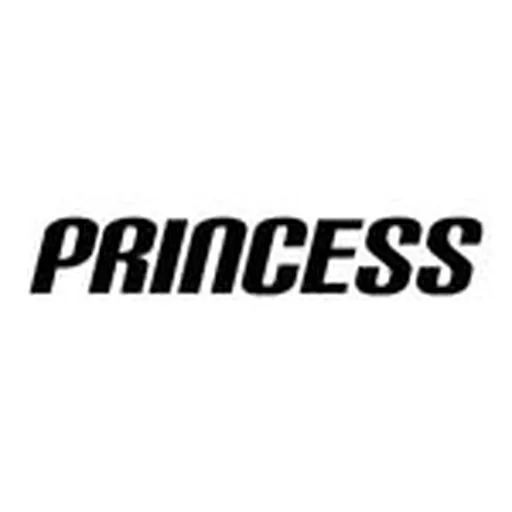 @princess.hockey profile image