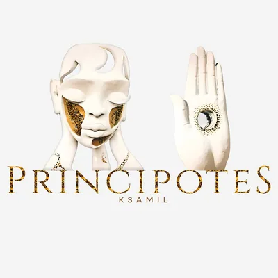 @principotesksamil.al profile image