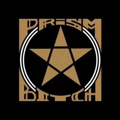 @prismbitchband profile image