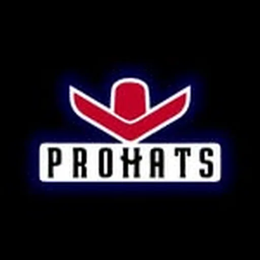 @pro.hats profile image